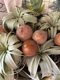 Bellani Ball, Polished W/ Pick - Sold Individually