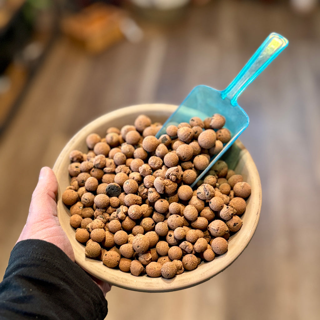Leca Balls 7 Ounce Bag