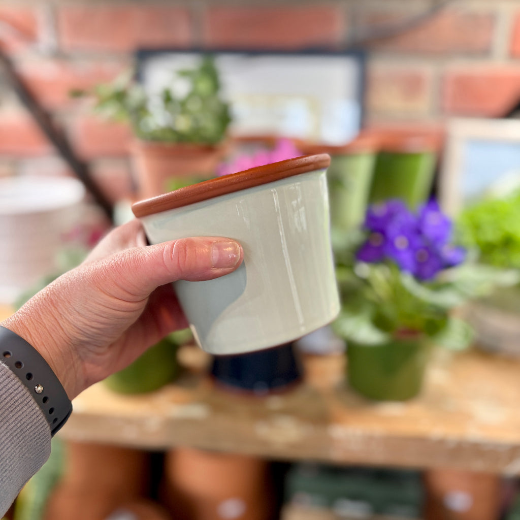 4.3" Zephyr Cylinder Glazed Terracotta Pot