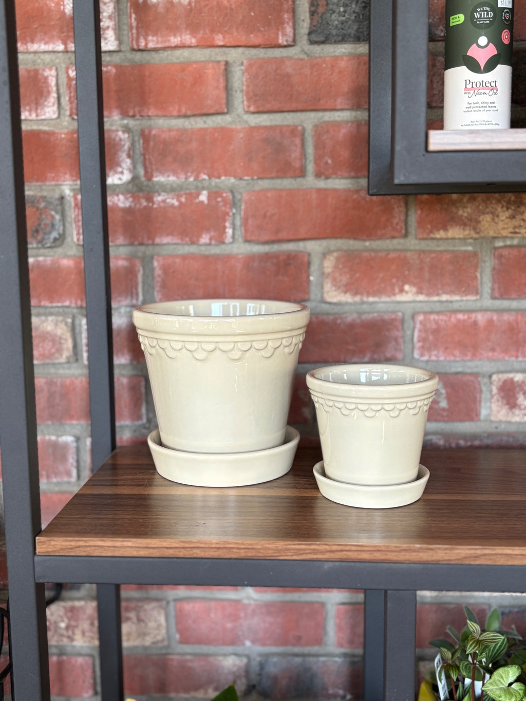 7" Københavner Sand Stone Glazed Pot & Saucer