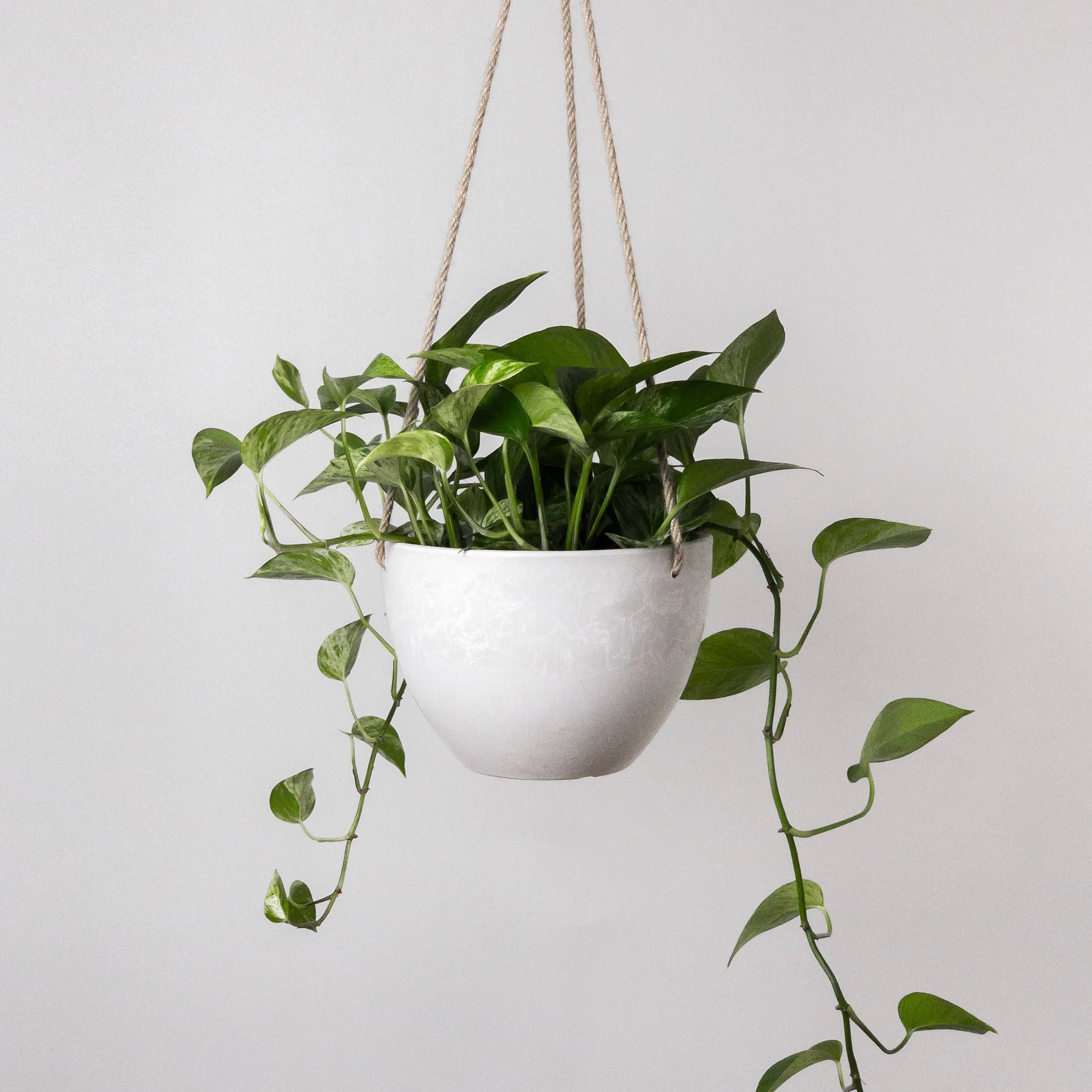 8" White Stone Hanging Planter