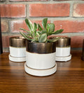 3" Bronze/White Pot & Saucer