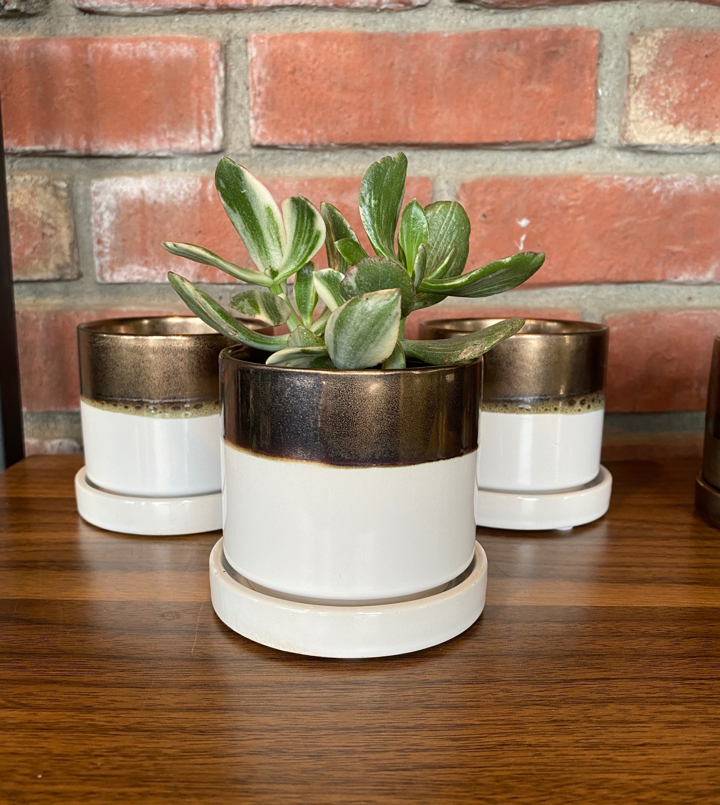 3" Bronze/White Pot & Saucer
