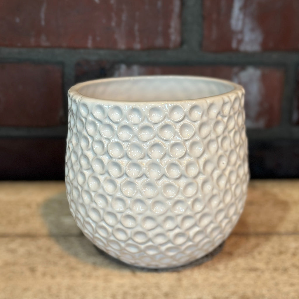 Ginny White Ceramic Pot 4.5"