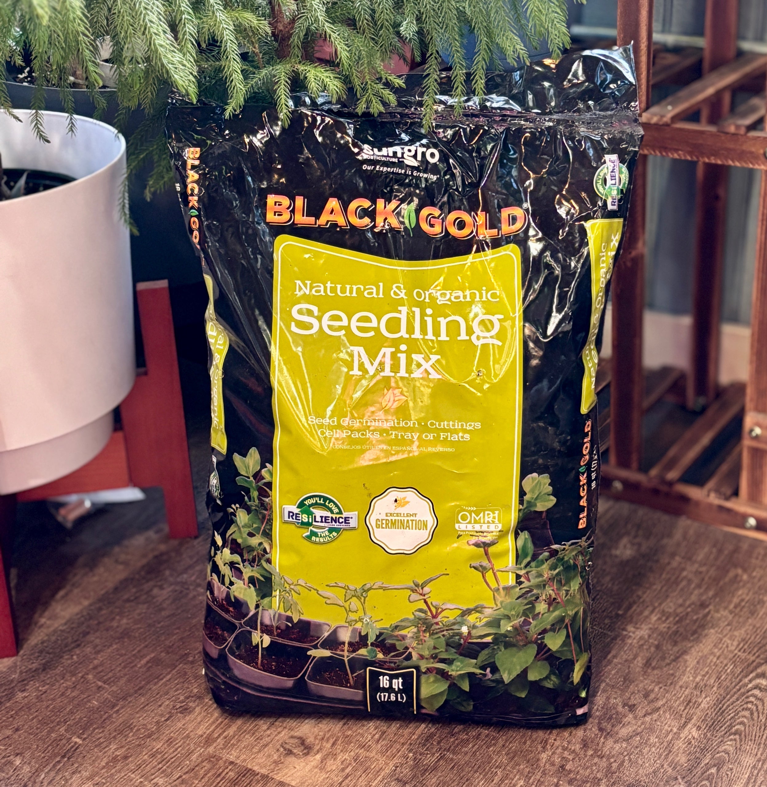 Sungro Black Gold Seedling Mix 16 Qt
