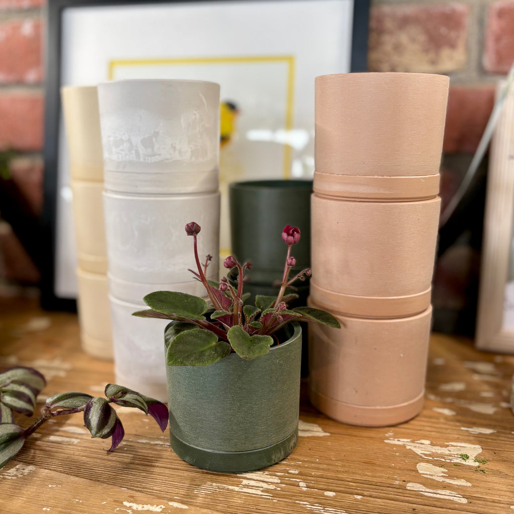 3.5" Earth Tone Mini Planters | Olive Sage