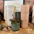3.5" Earth Tone Mini Planters | Olive Sage