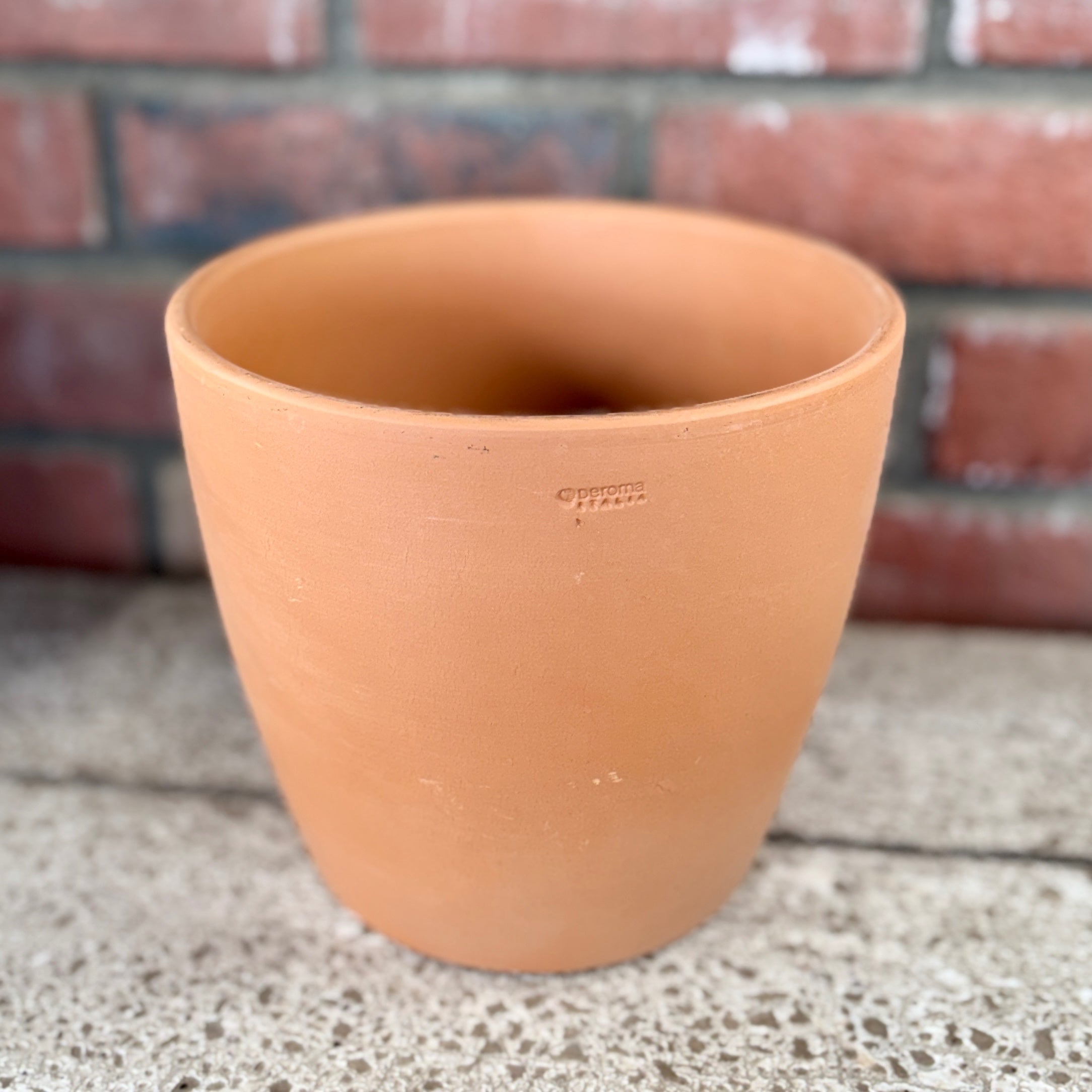 7.5" Blush Terracotta Egg Pot