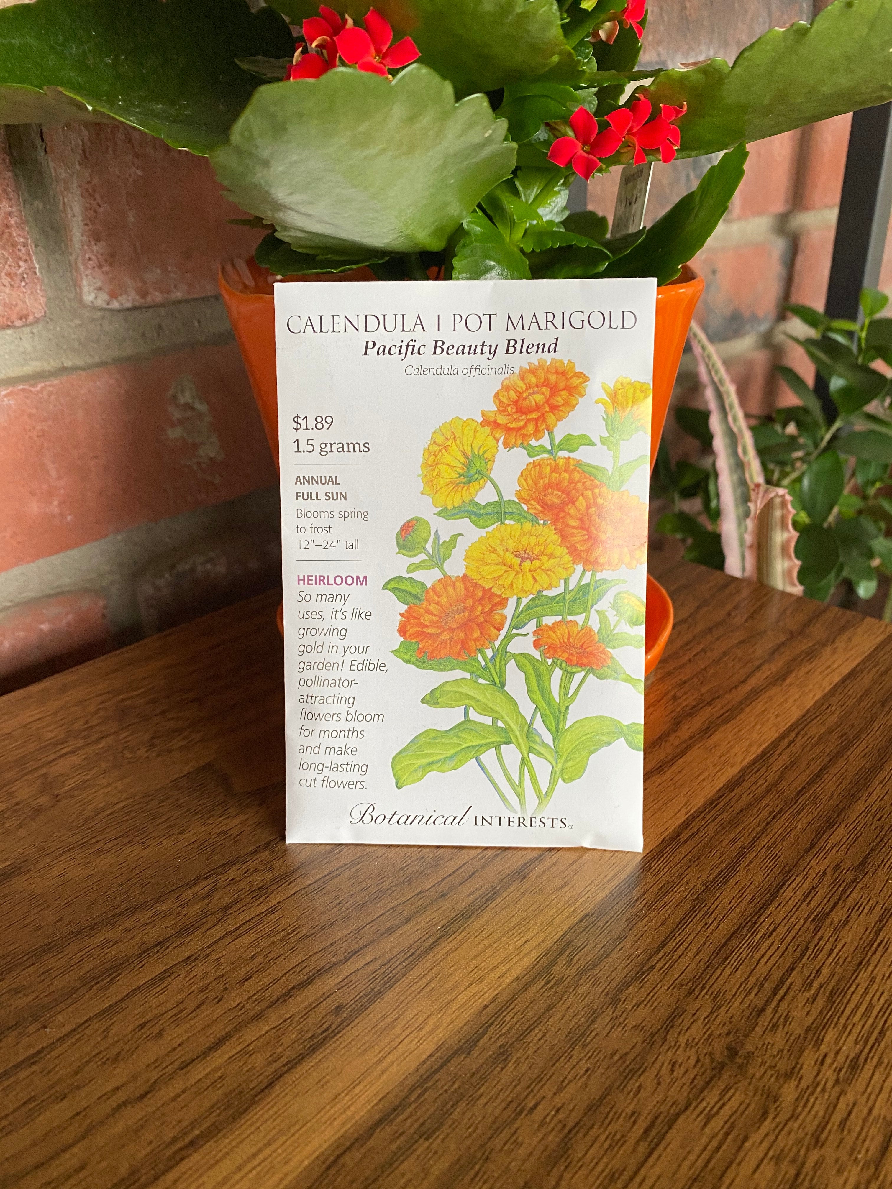 Calendula Pacific Beauty Blend