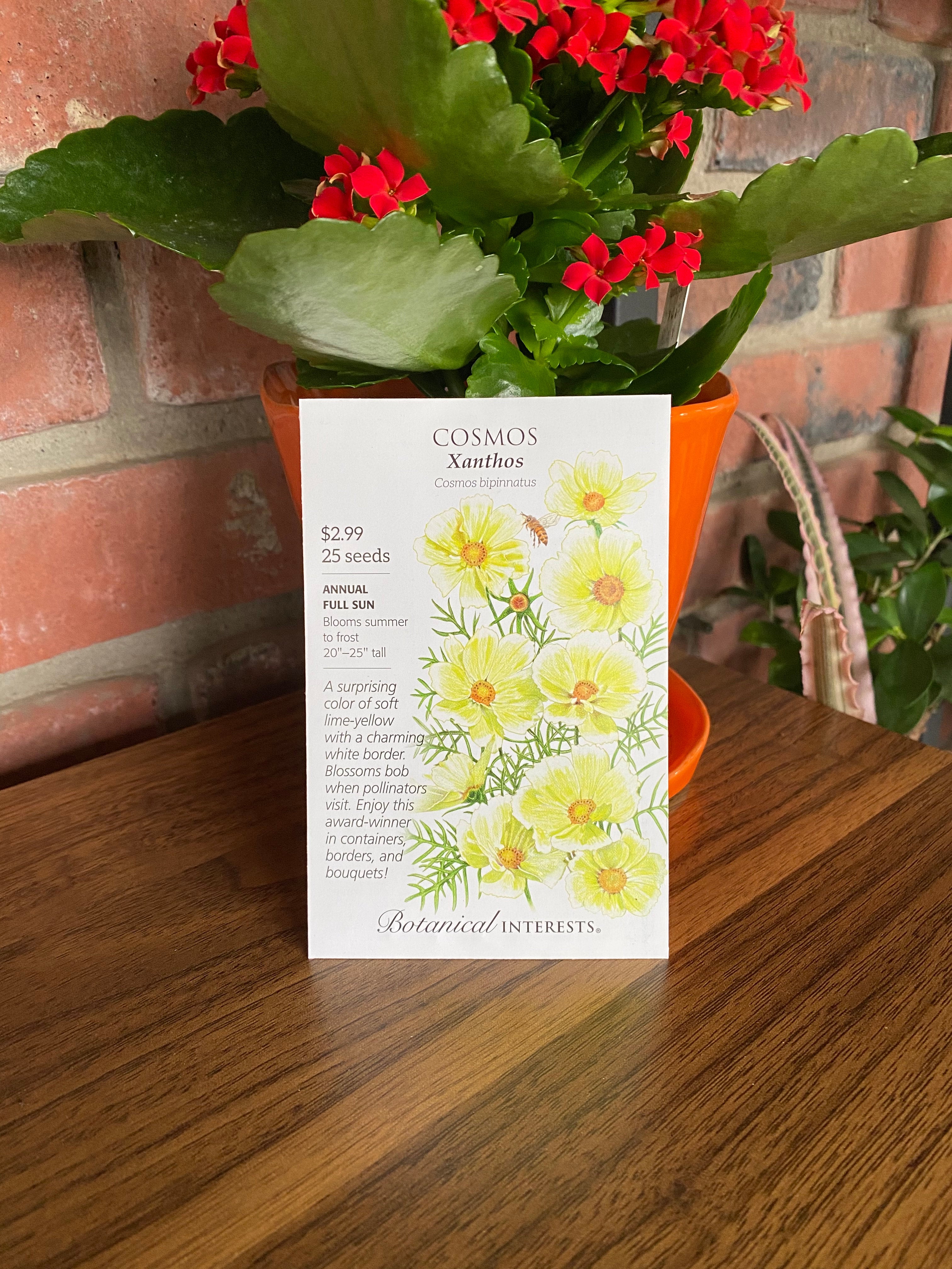 Cosmos, Xanthos