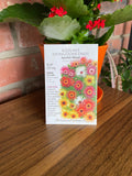 Iceplant Livingstone Daisy Sparkle Blend