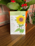 Sunflower, Lemon Queen Organic | Helianthus