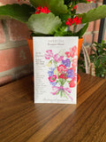 Sweet Pea 'Bouquet Blend' | Lathyrus