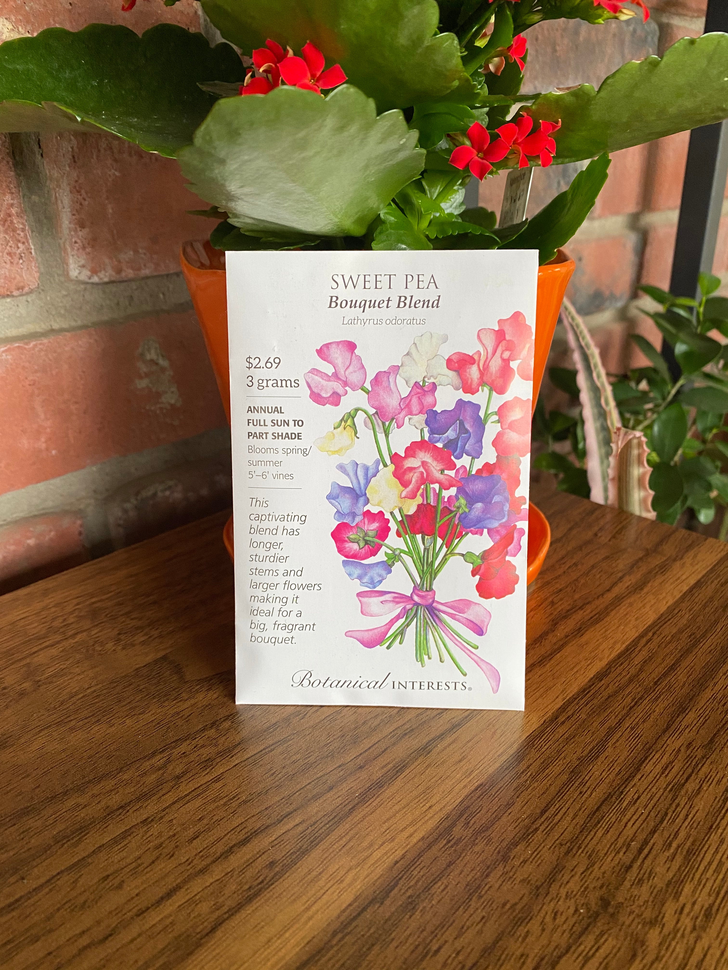 Sweet Pea 'Bouquet Blend' | Lathyrus