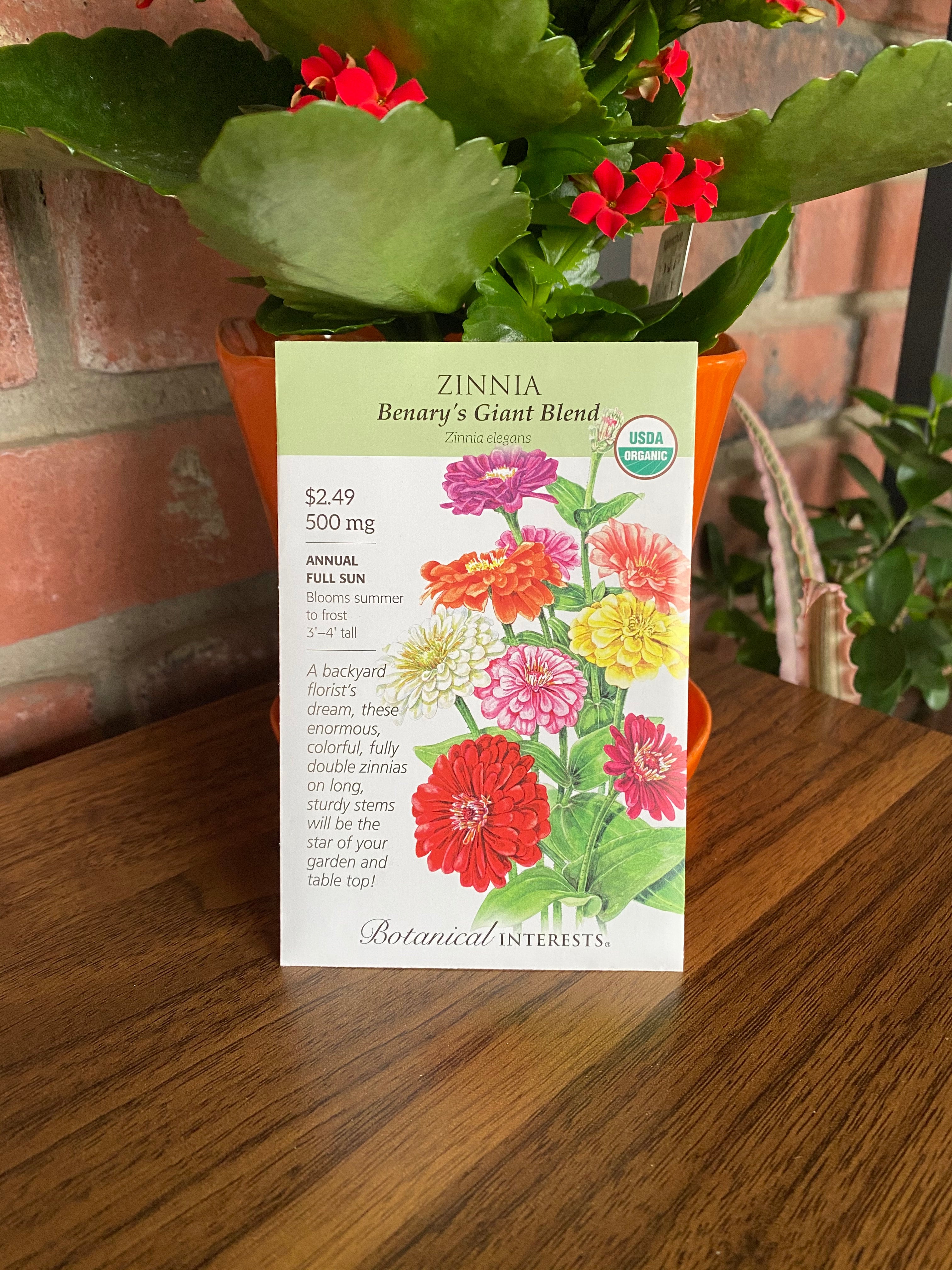 Zinnia, Benary's Giant Blend Organic