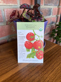 Tomato Pole Moneymaker Organic