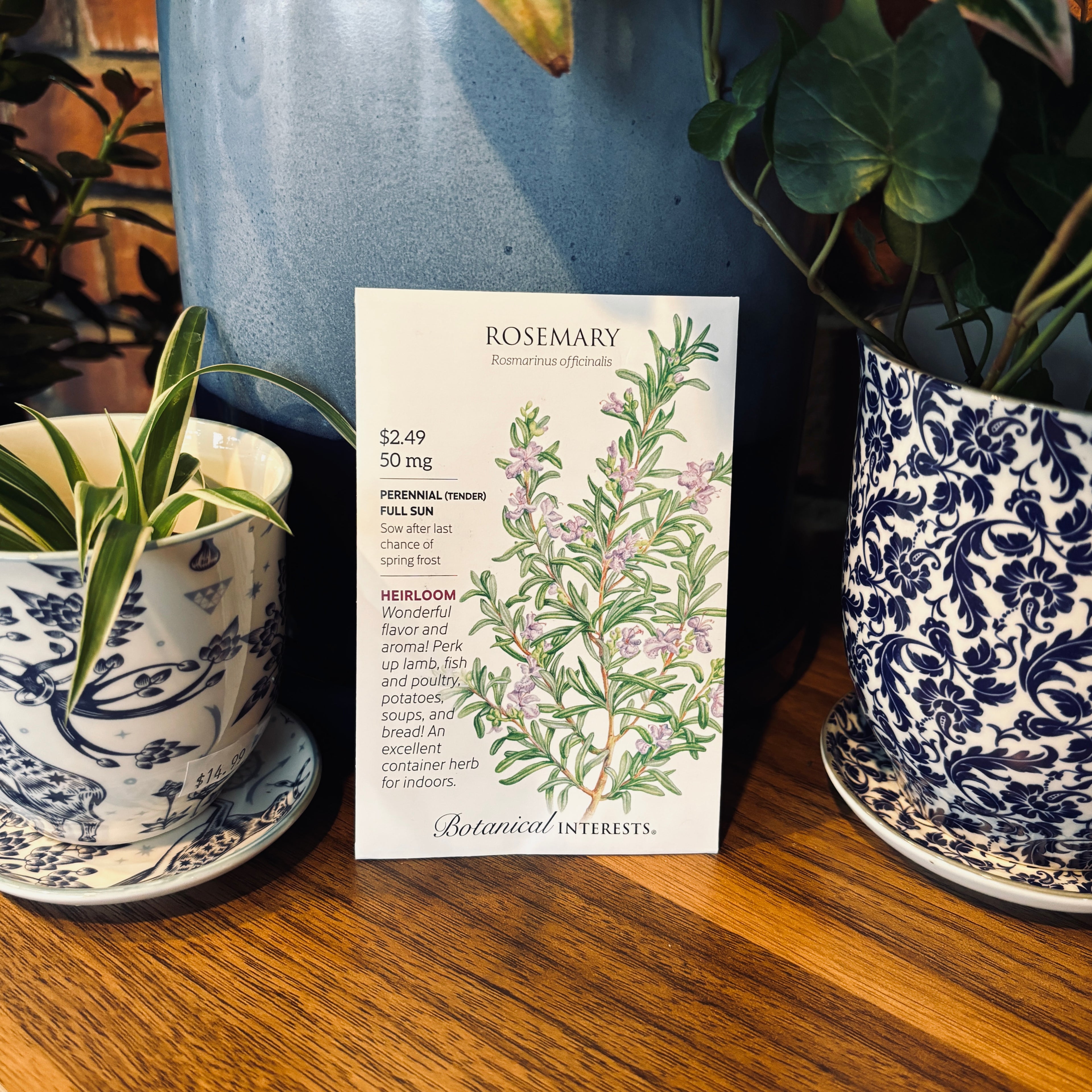 Rosemary