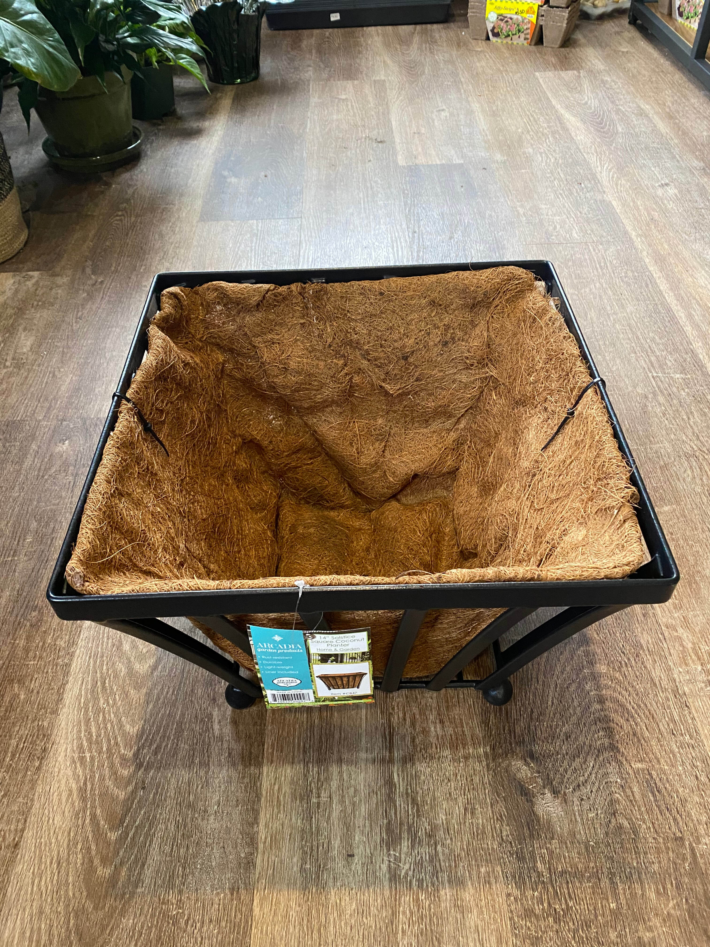 Arcadia Solstice Square Planter- 14"