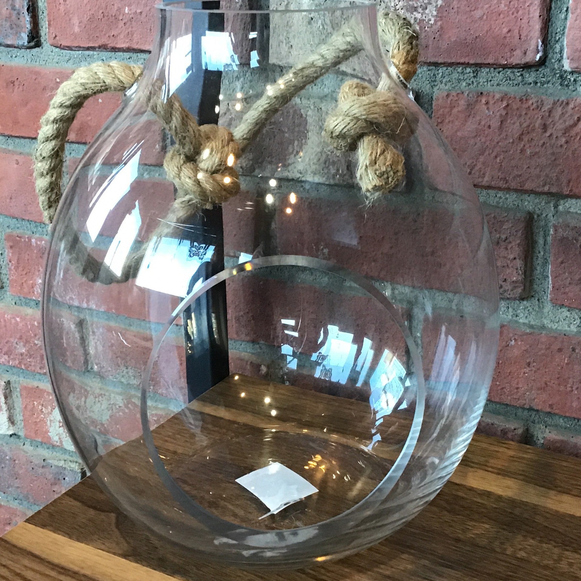 Terrarium, Hanging 9.75" X 11"
