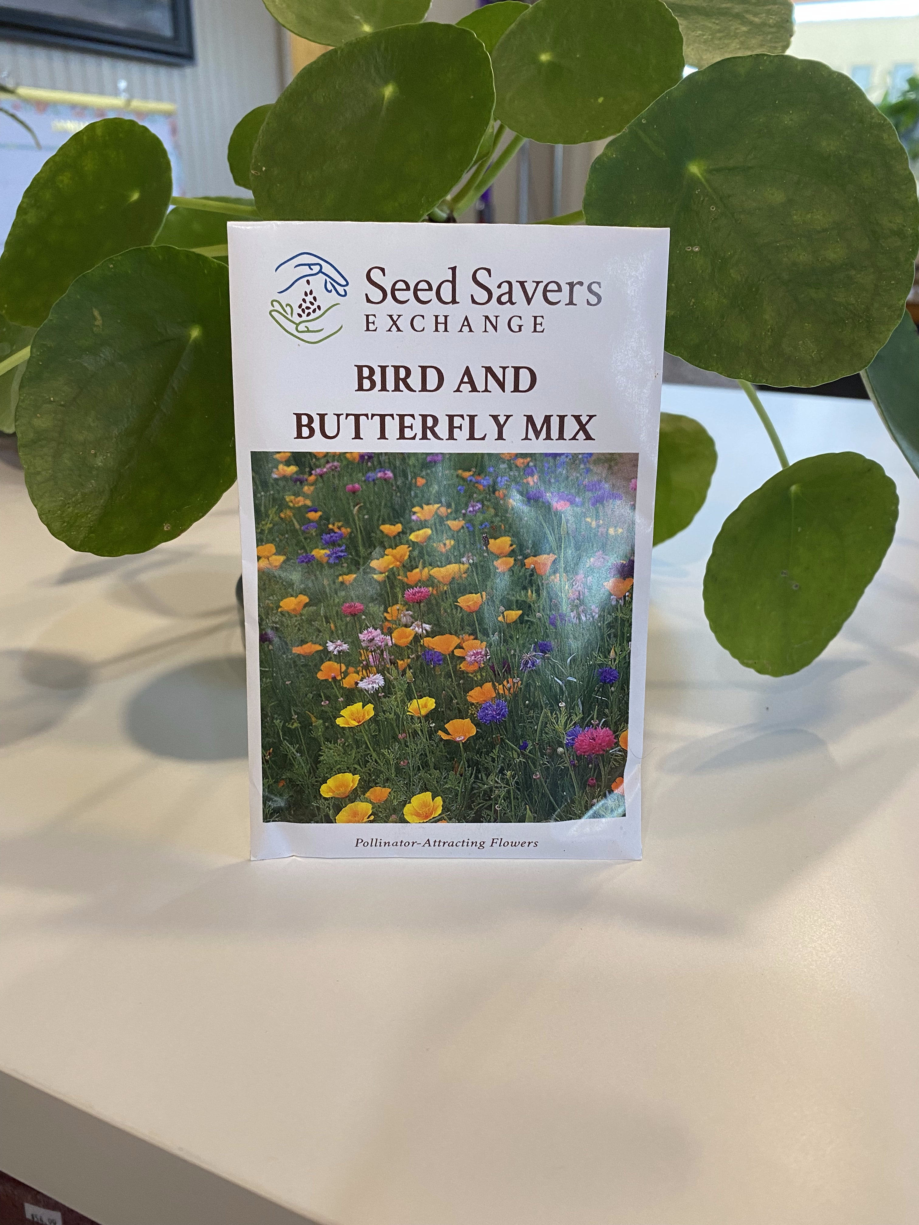 Bird And Butterfly Mix