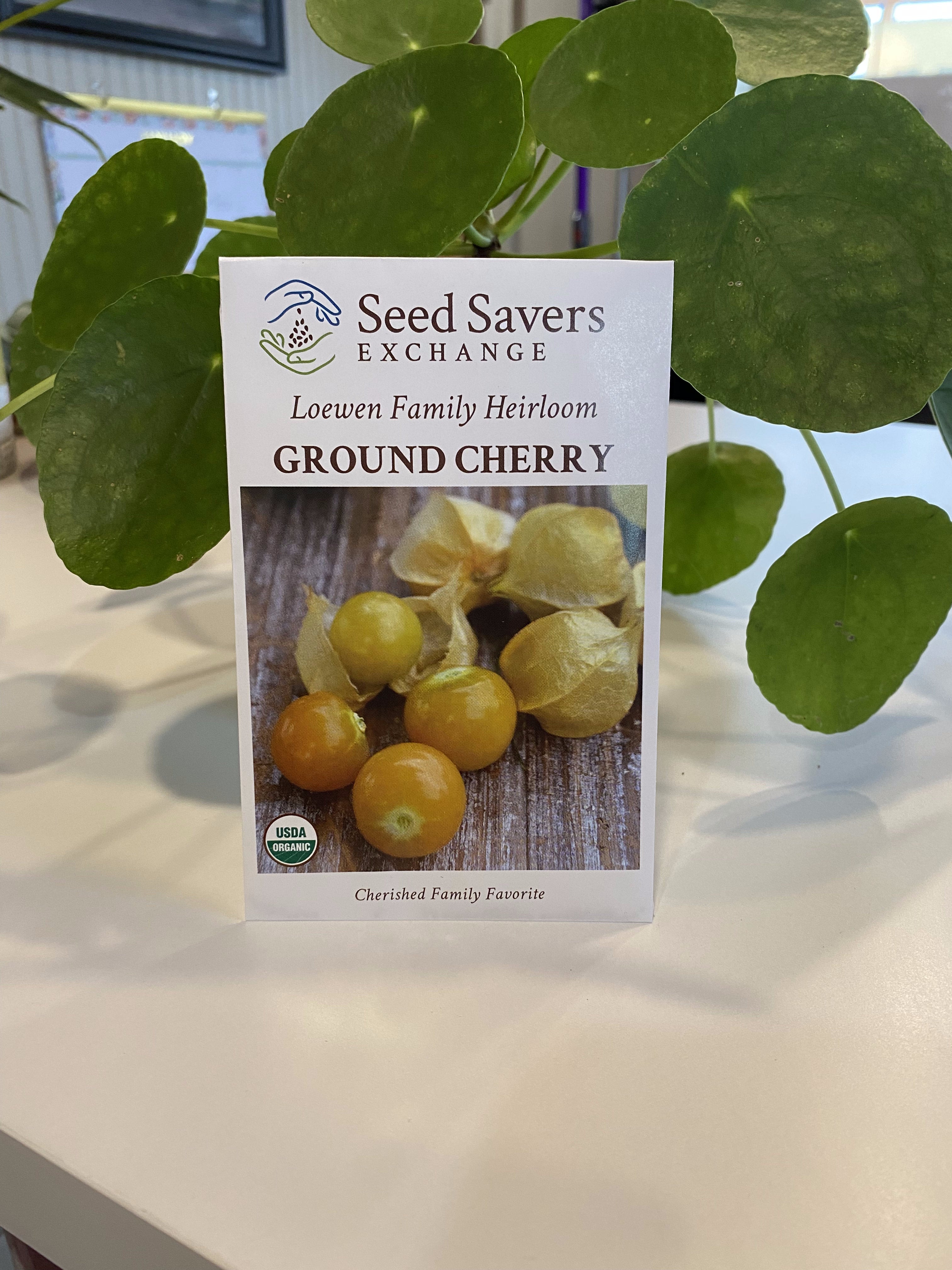 Ground Cherry Loewen Family Heirloom