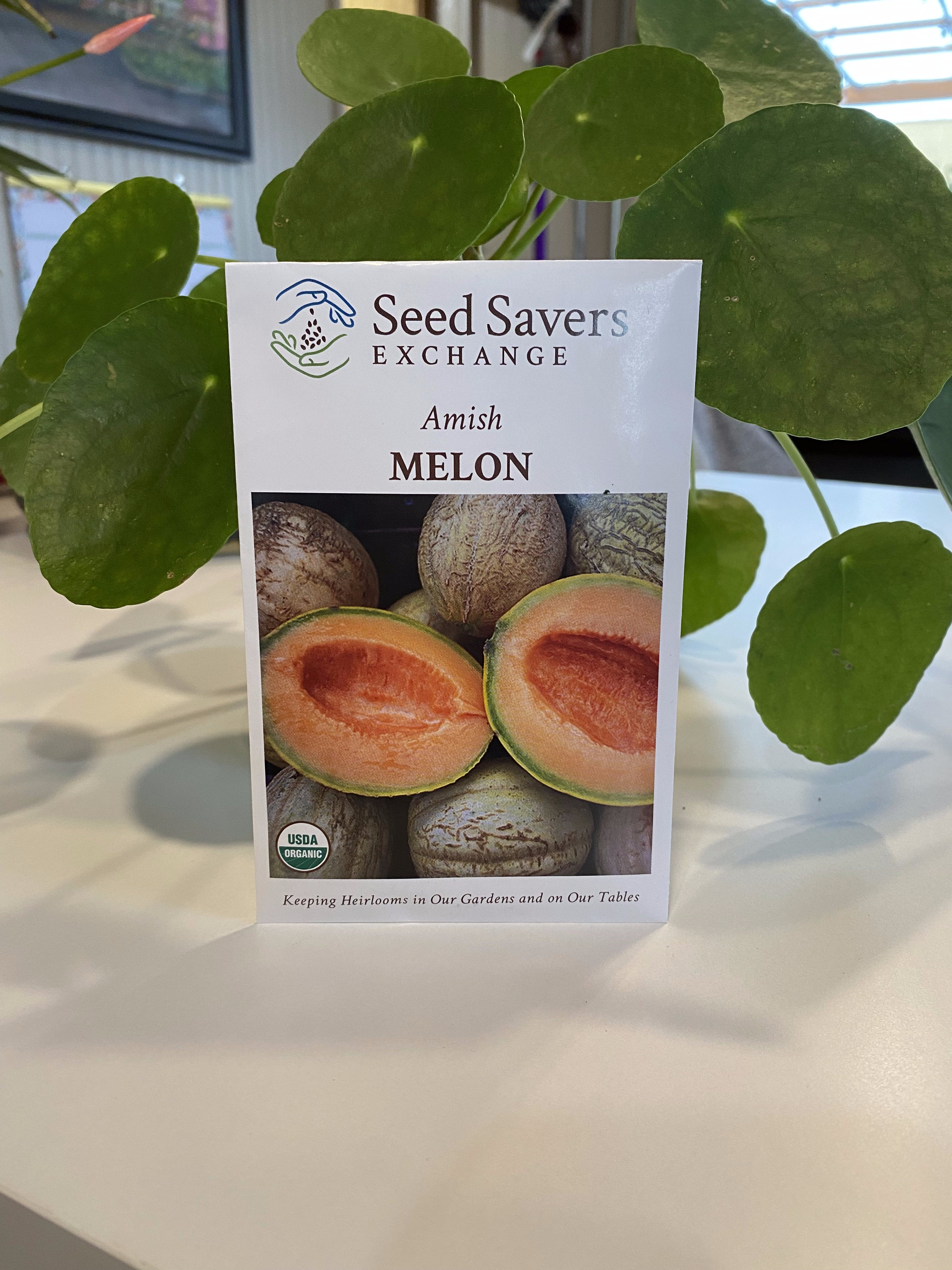 Melon Amish Organic