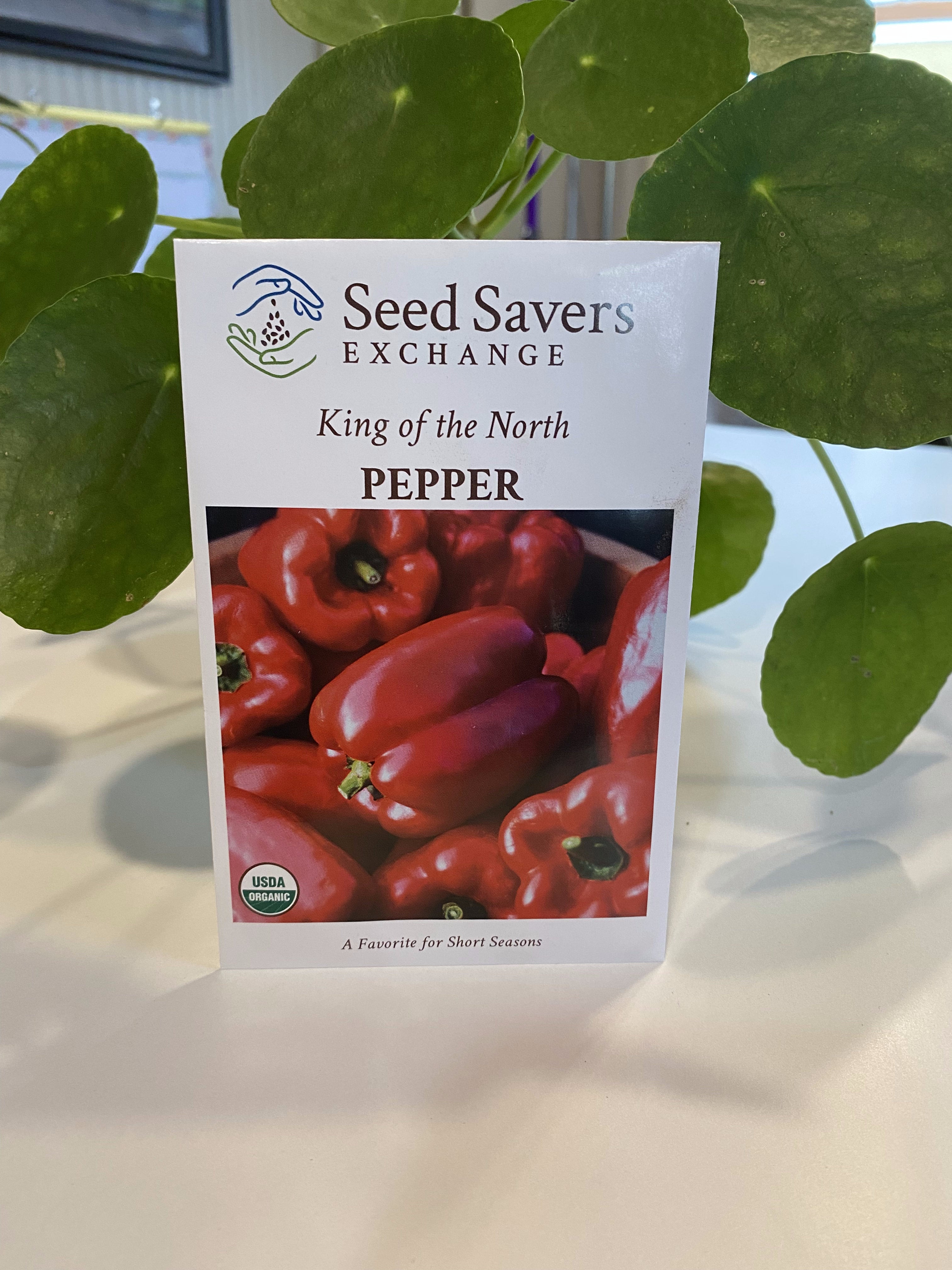 Pepper King Of The North