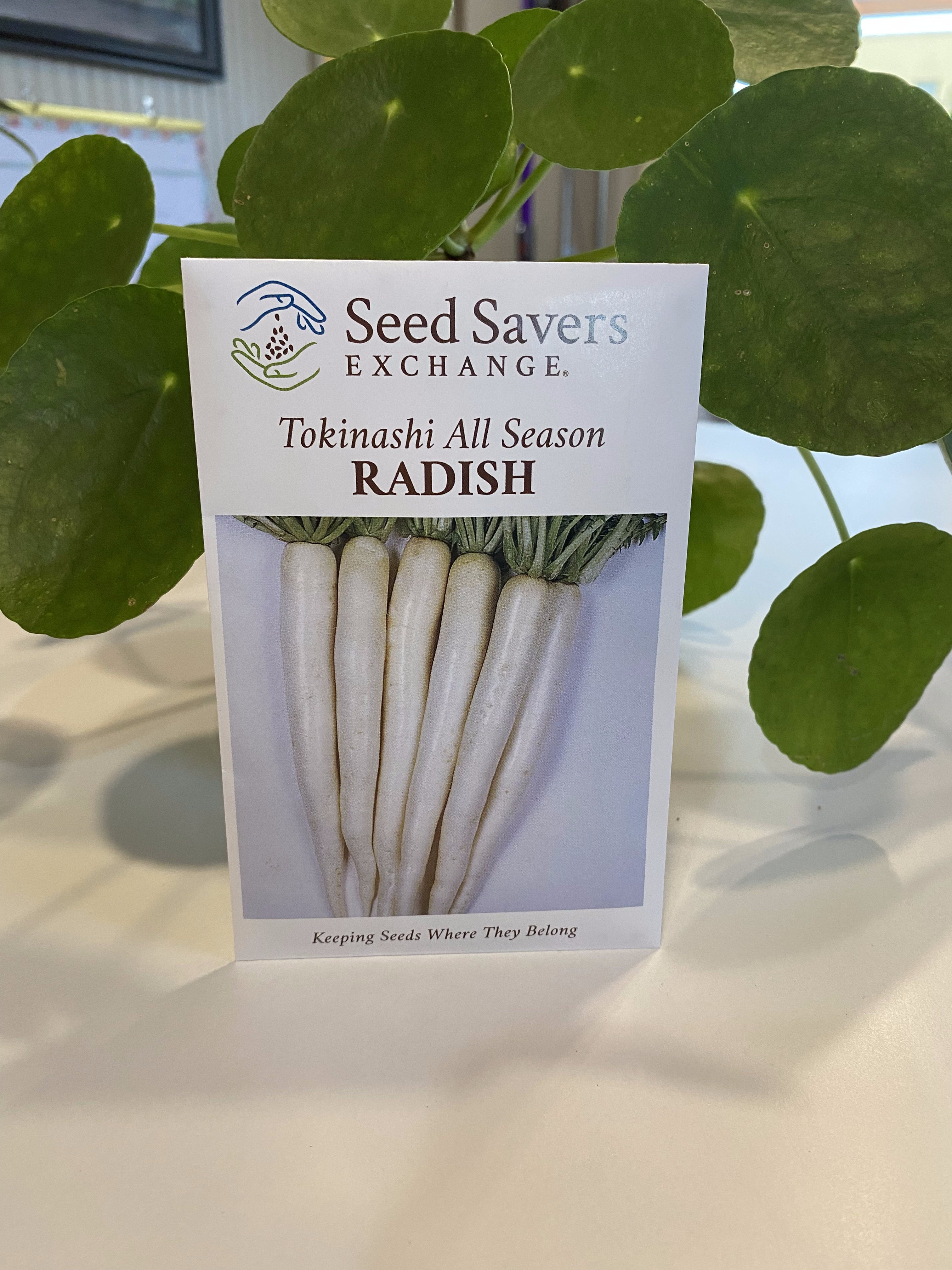 Radish Tokinashi All Season