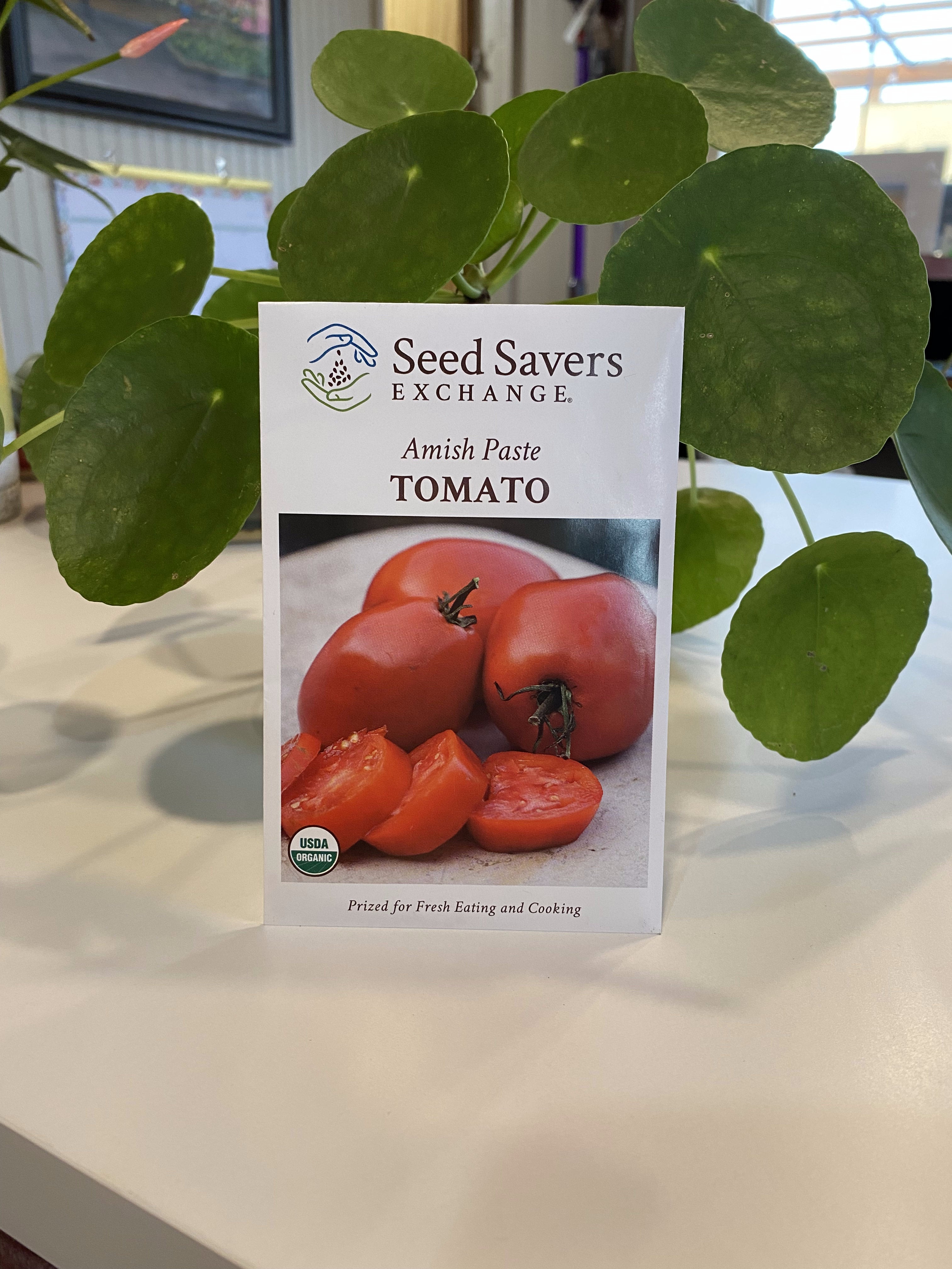 Tomato Amish Paste Organic