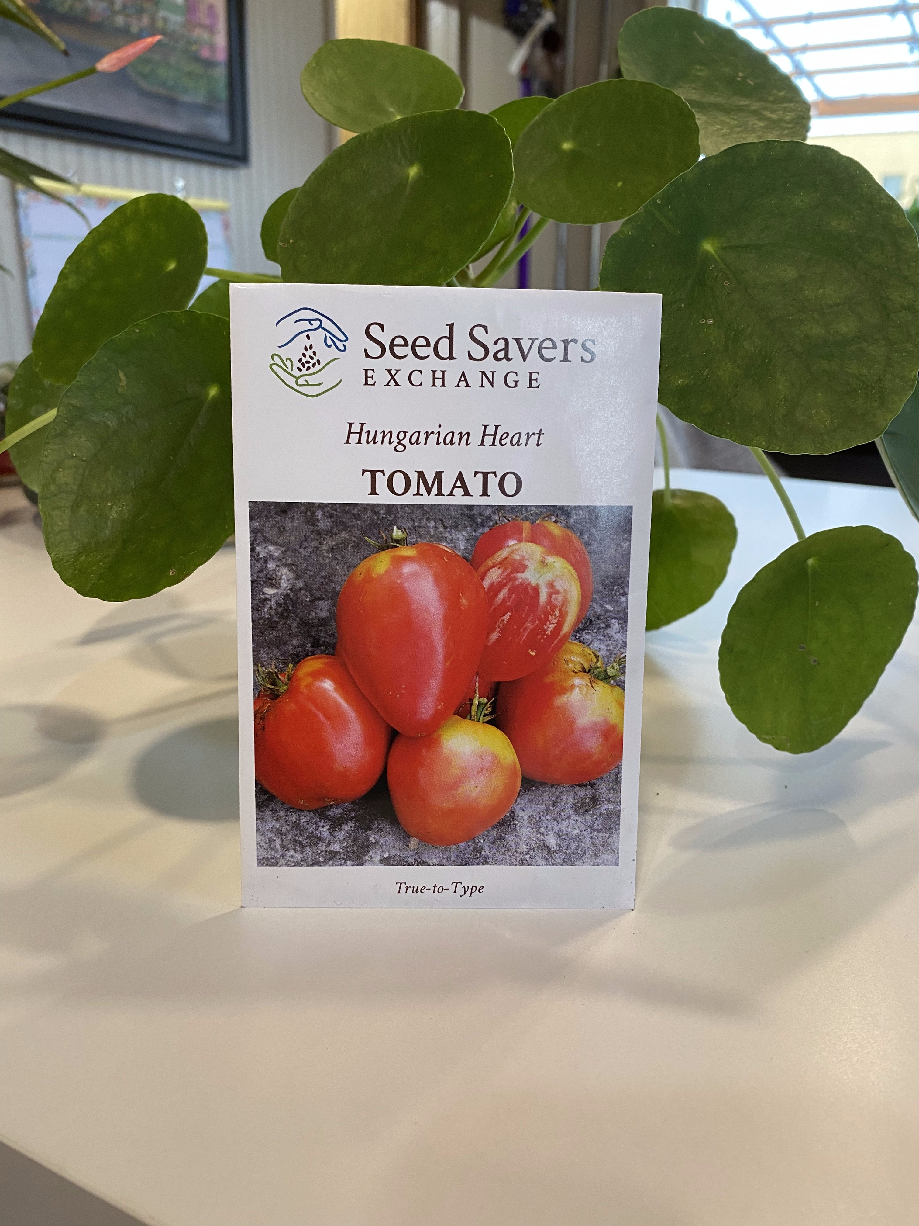Tomato Hungarian Heart