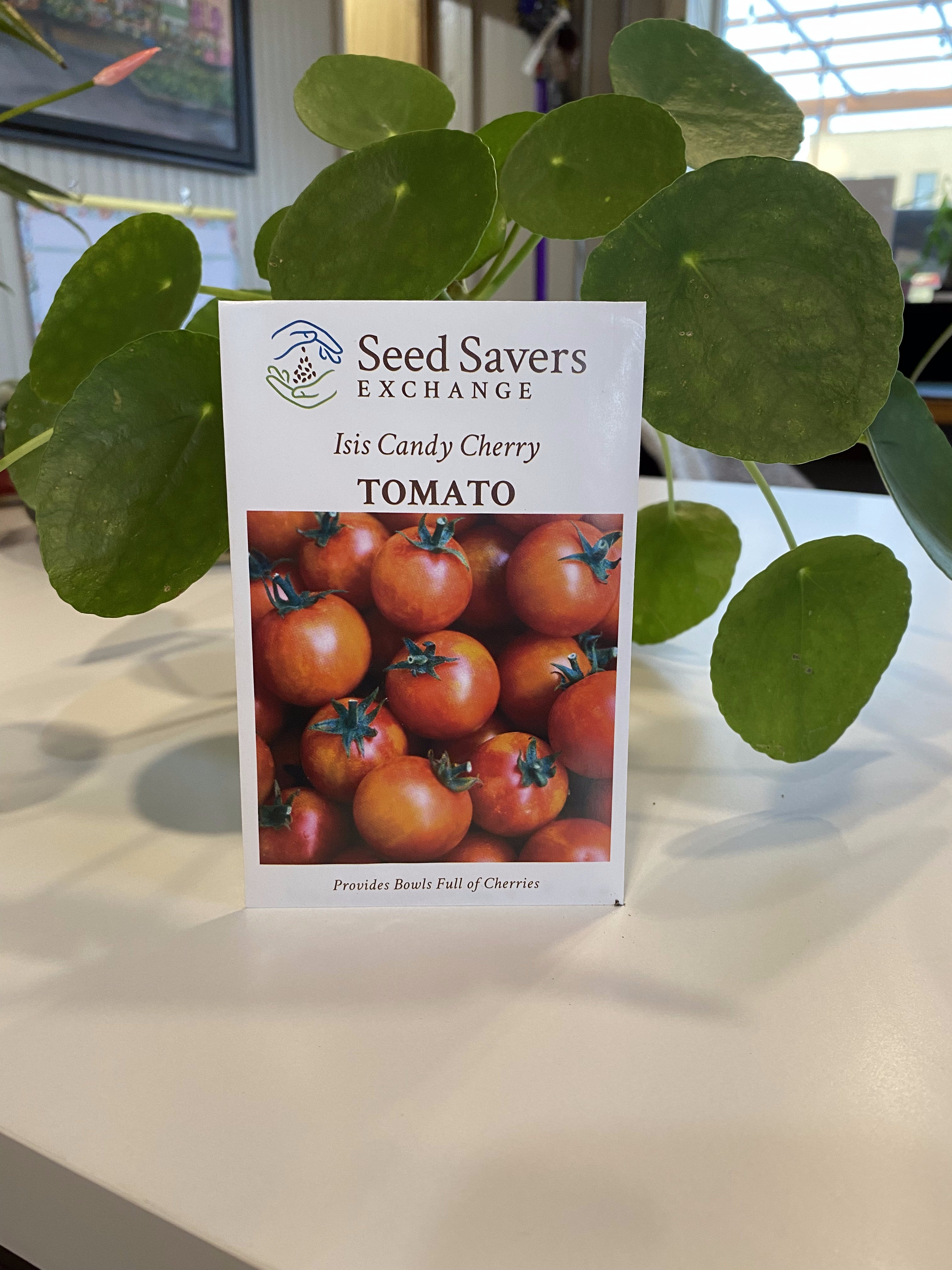 Tomato Isis Candy Cherry