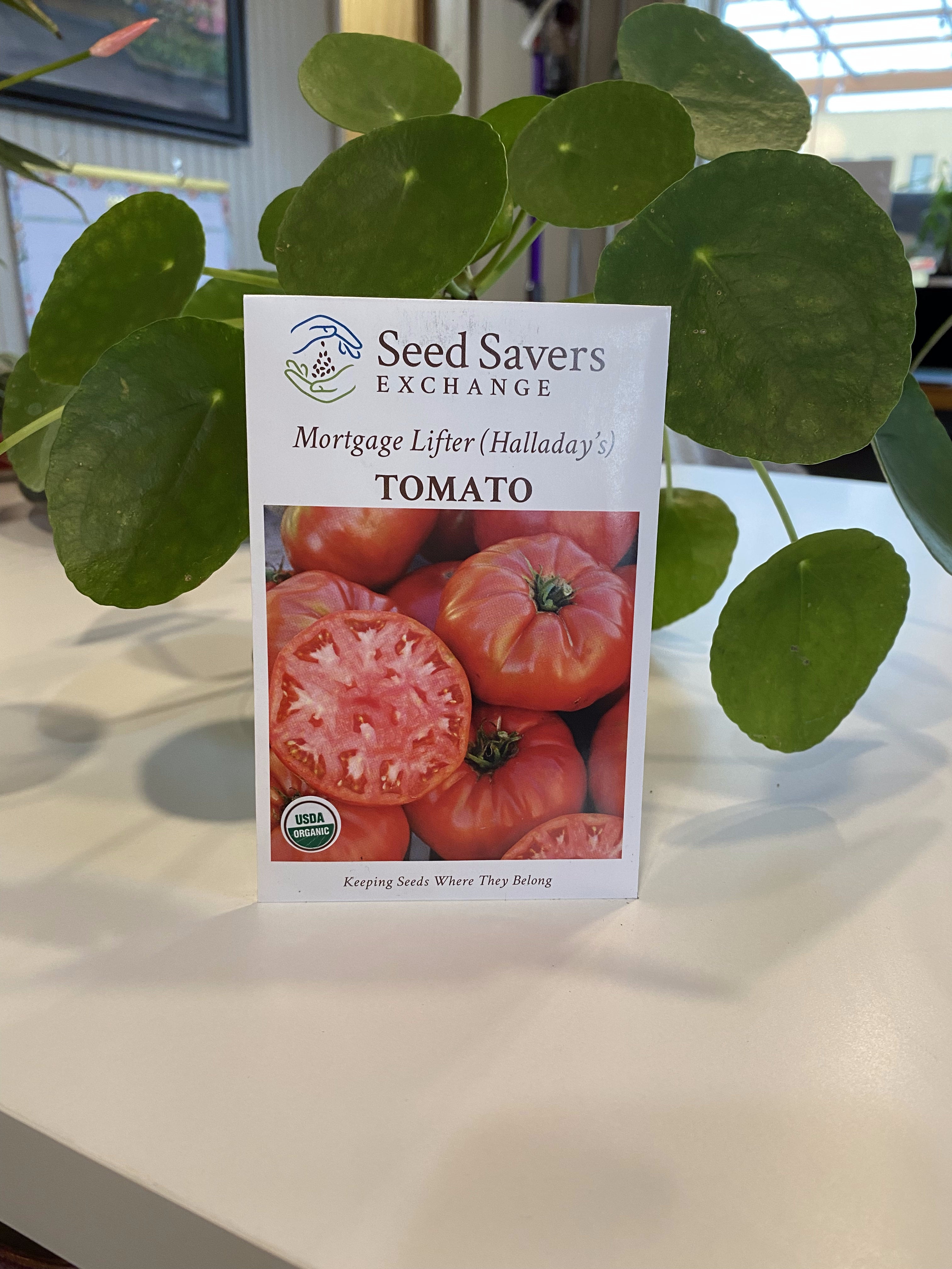 Tomato Mortgage Lifter Halladay's Organic