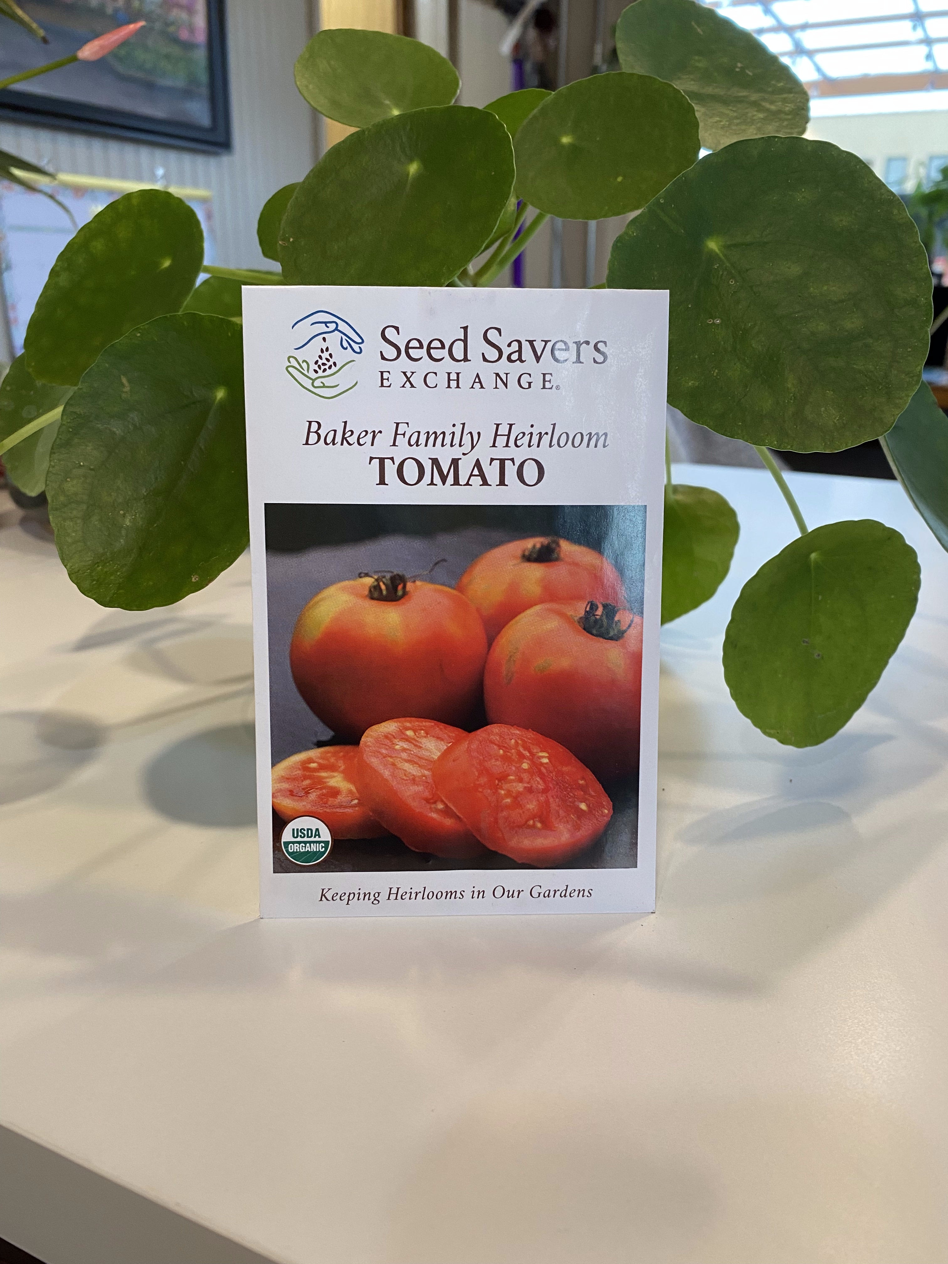 Tomato Baker Family Heirloom
