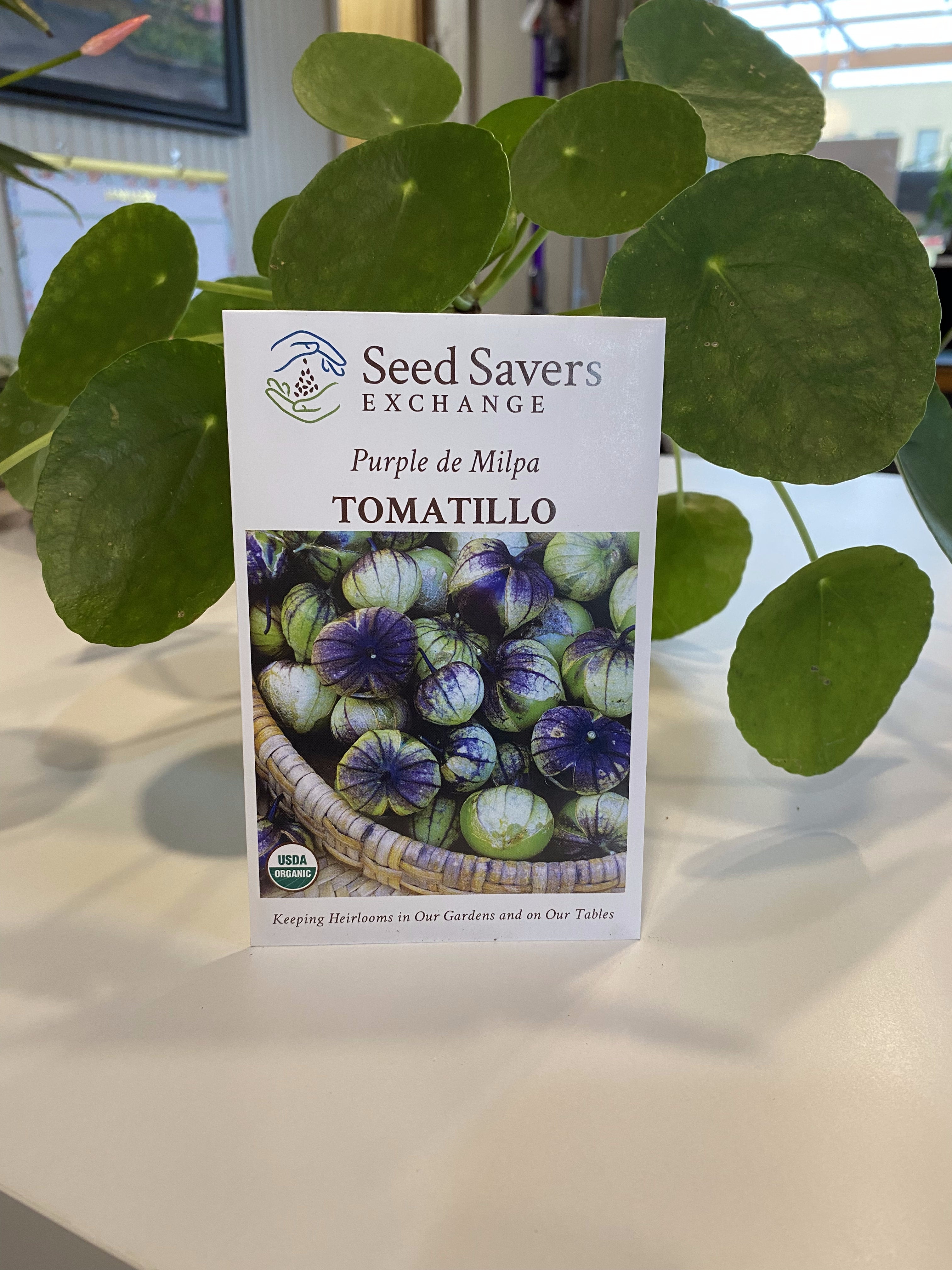 Tomatillo Purple De Milpa