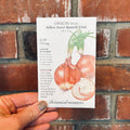 Onion Bulb Yellow Sweet Spanish Utah