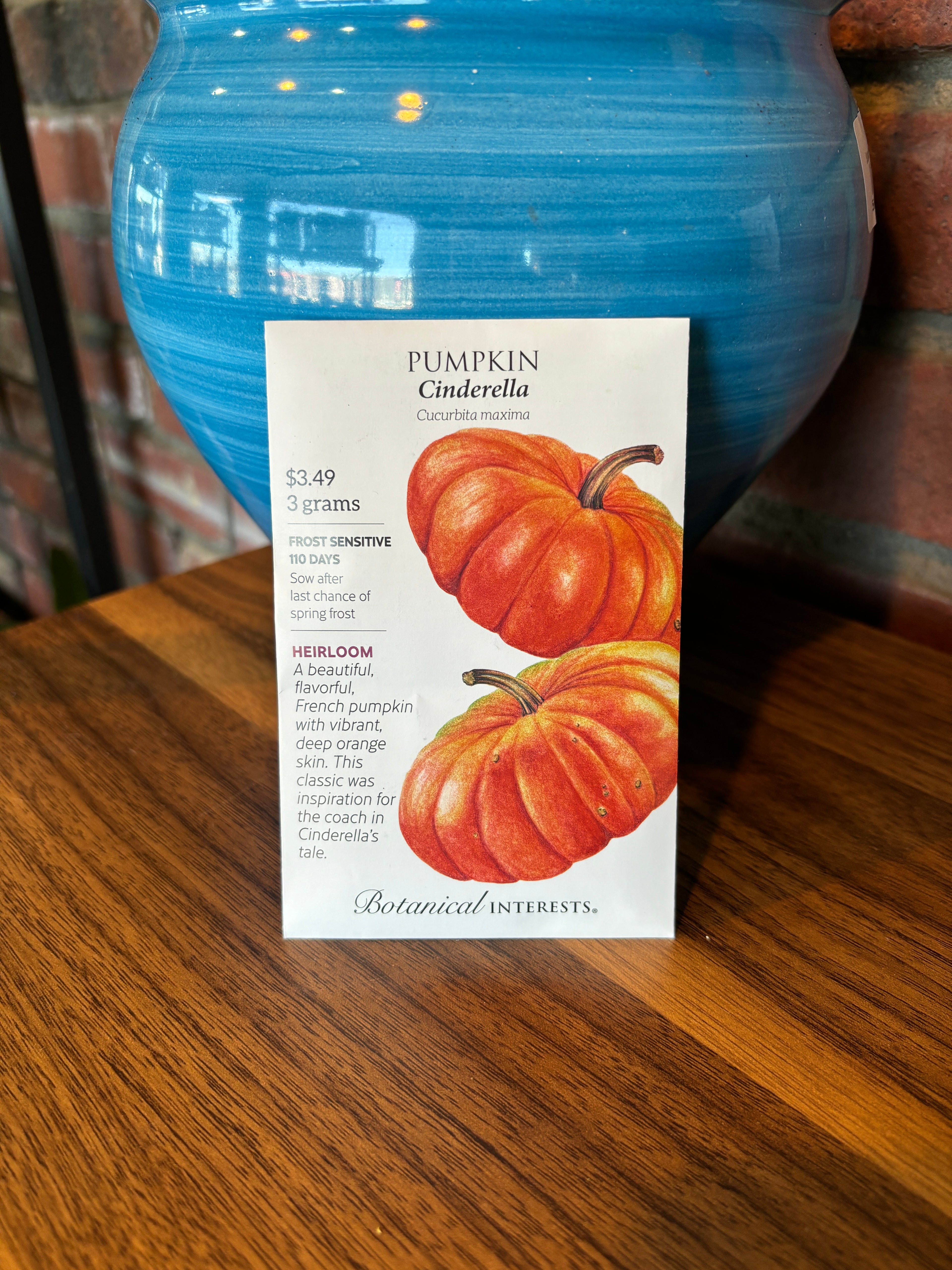 Pumpkin French Cinderella