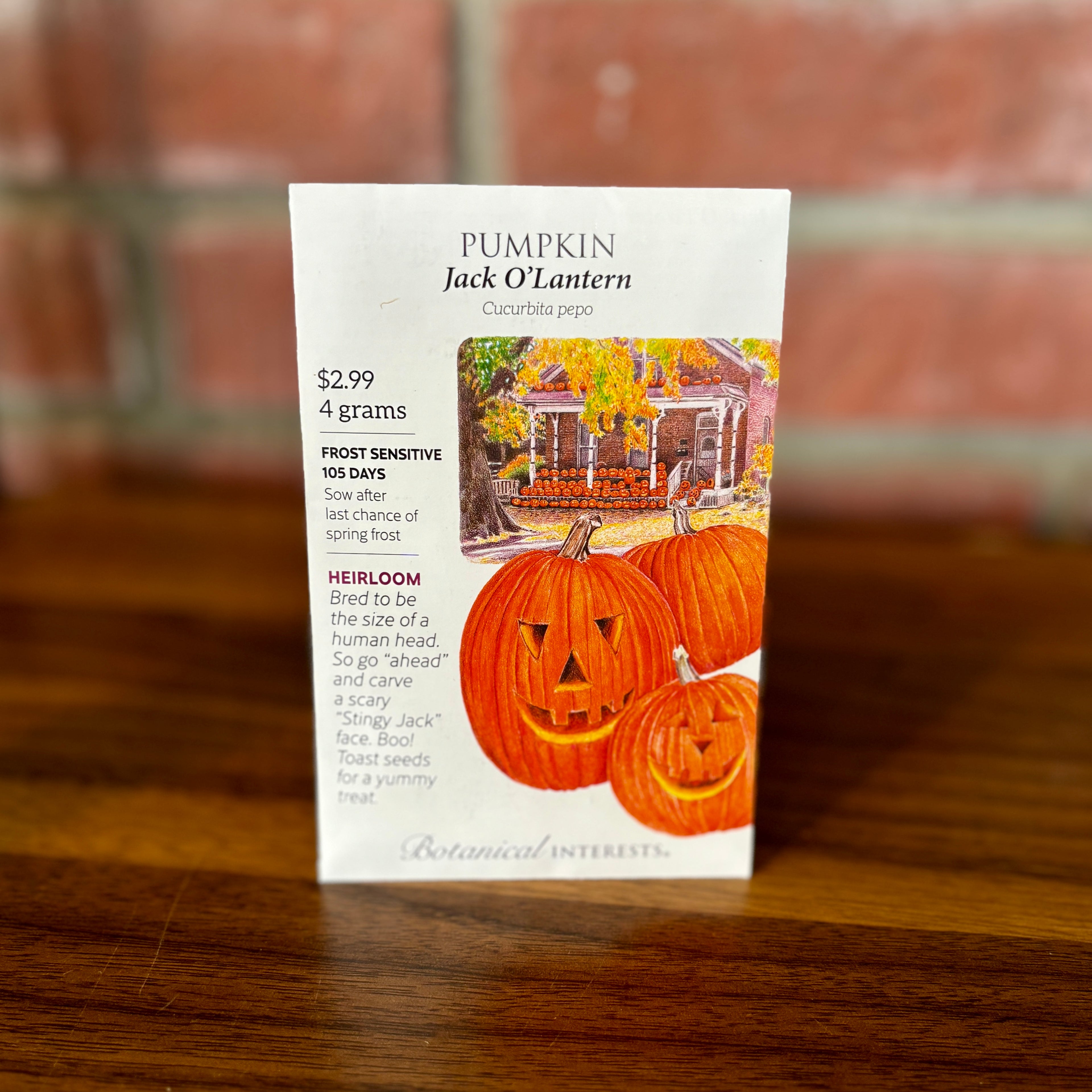 Pumpkin Jack O'Lantern