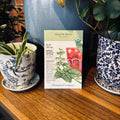 Lemon Balm Organic