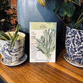 Sage Broadleaf Organic