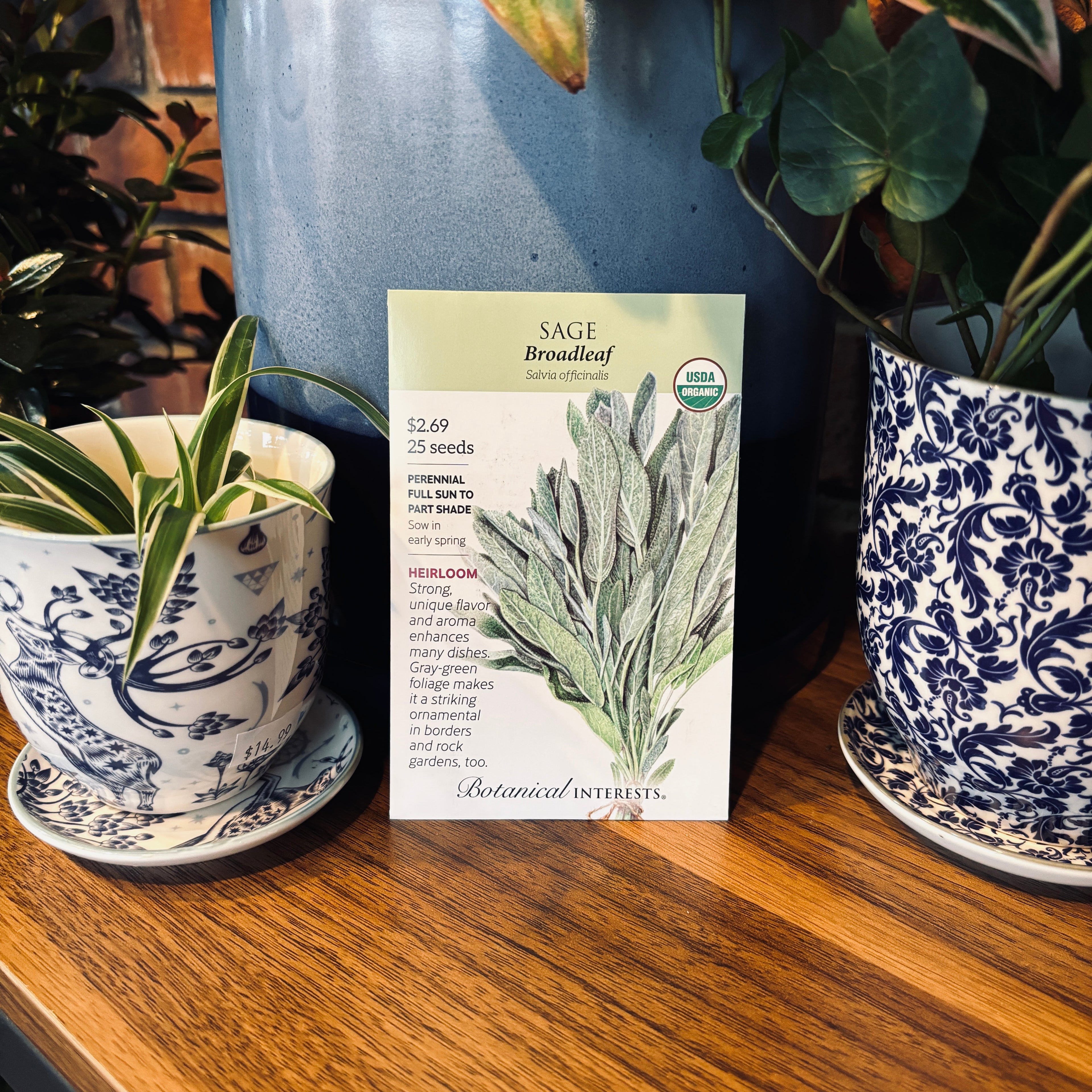 Sage Broadleaf Organic