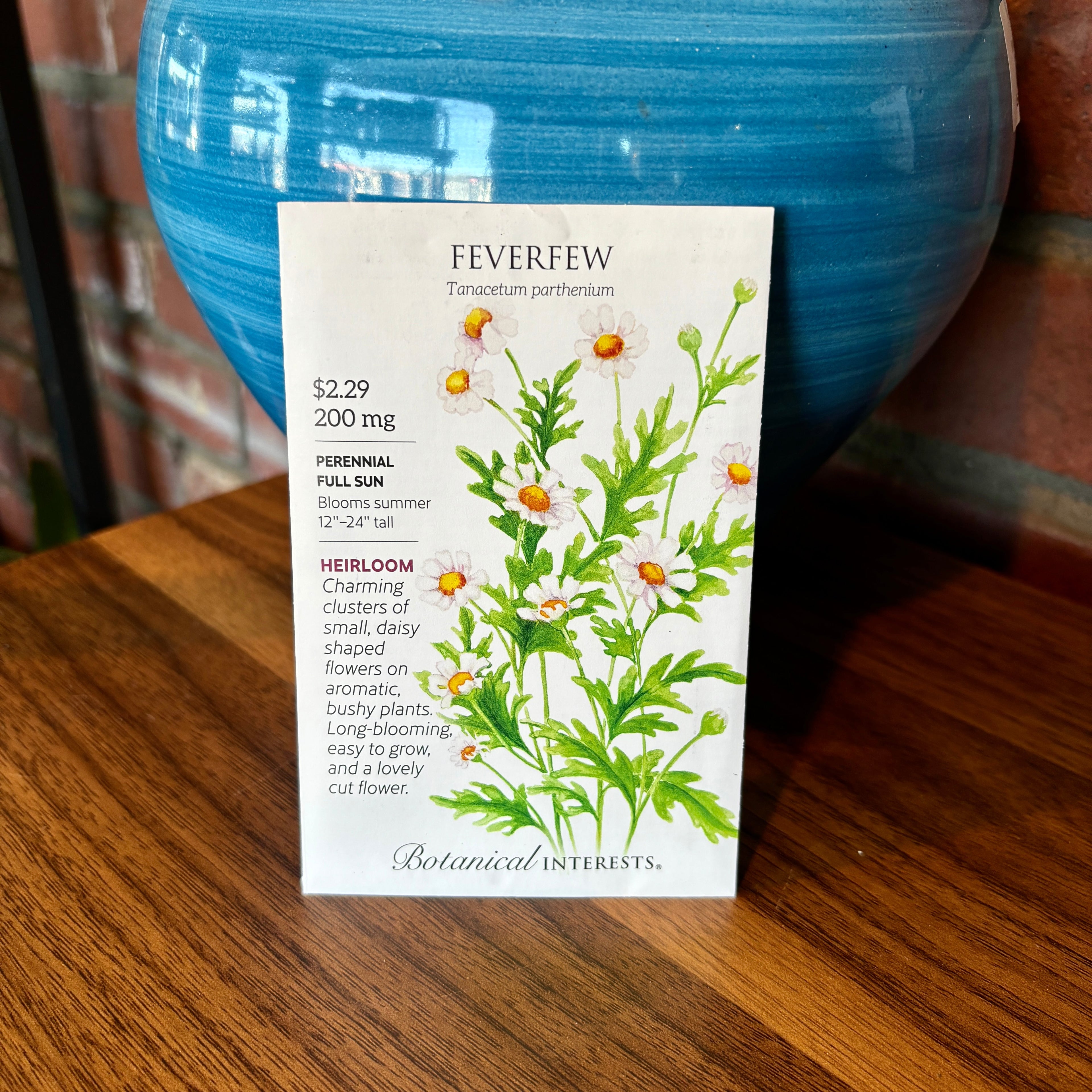 Feverfew | Tanacetum Parthenium