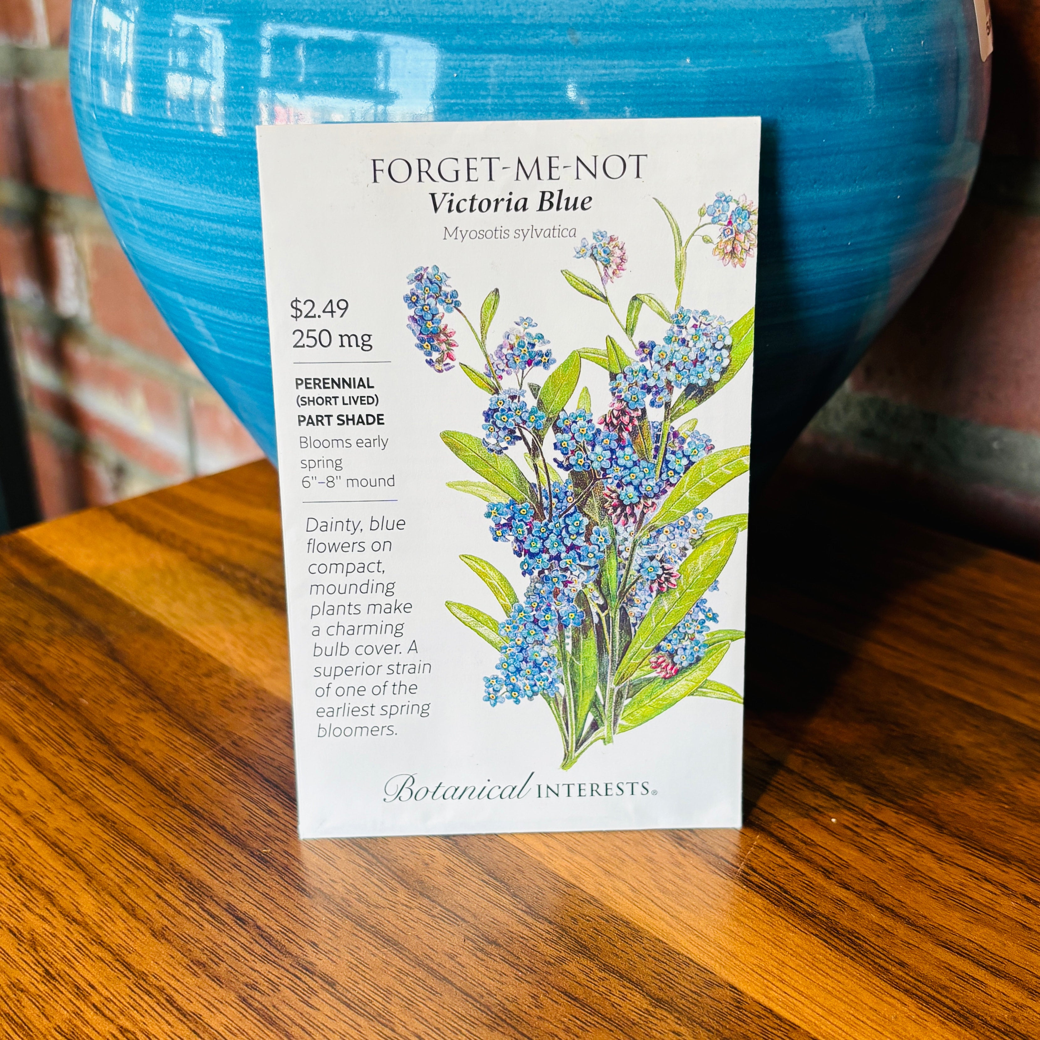 Forget-Me-Not, Victoria Blue