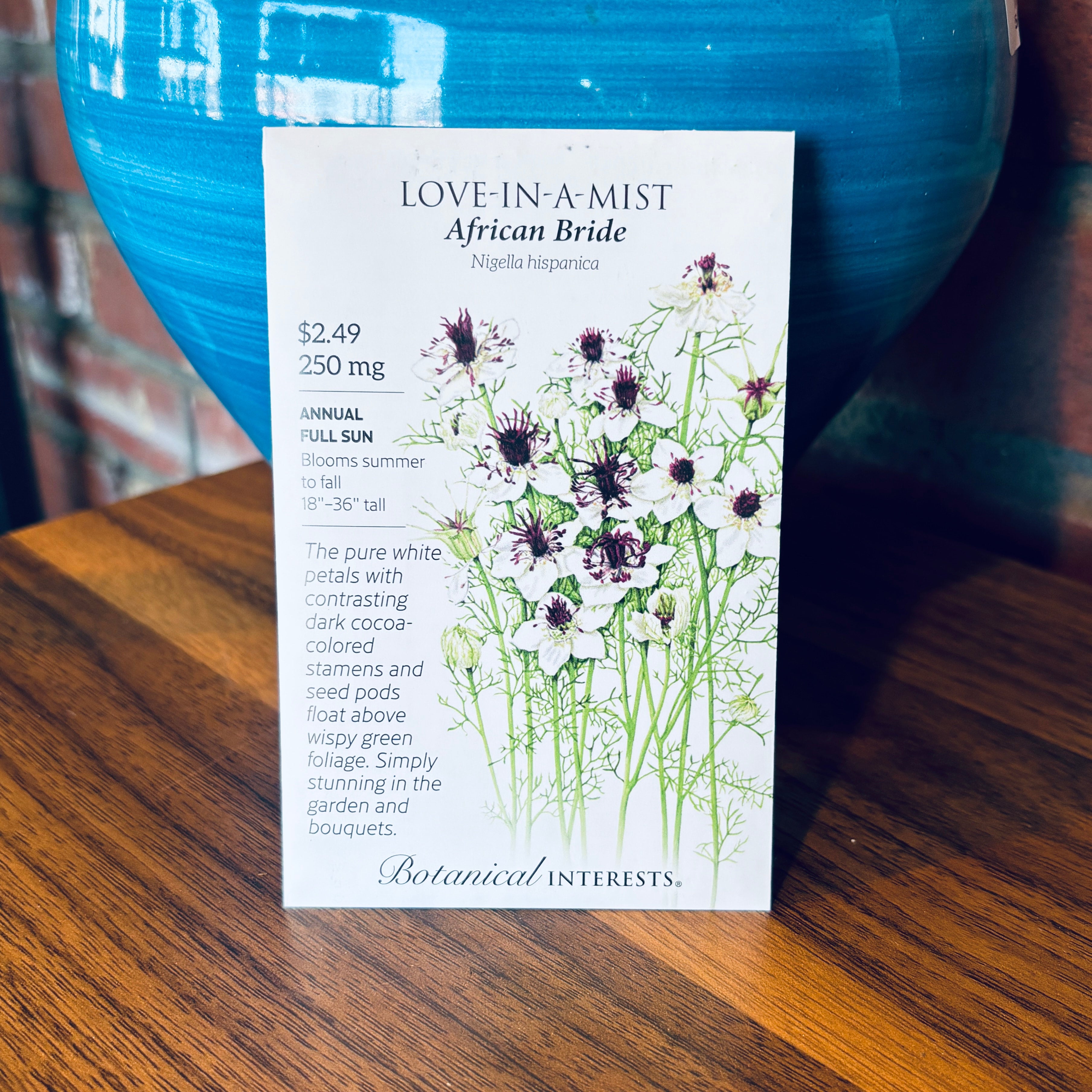 Love-In-A-Mist African Bride