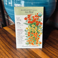 Marigold Signet Gem Blend Organic
