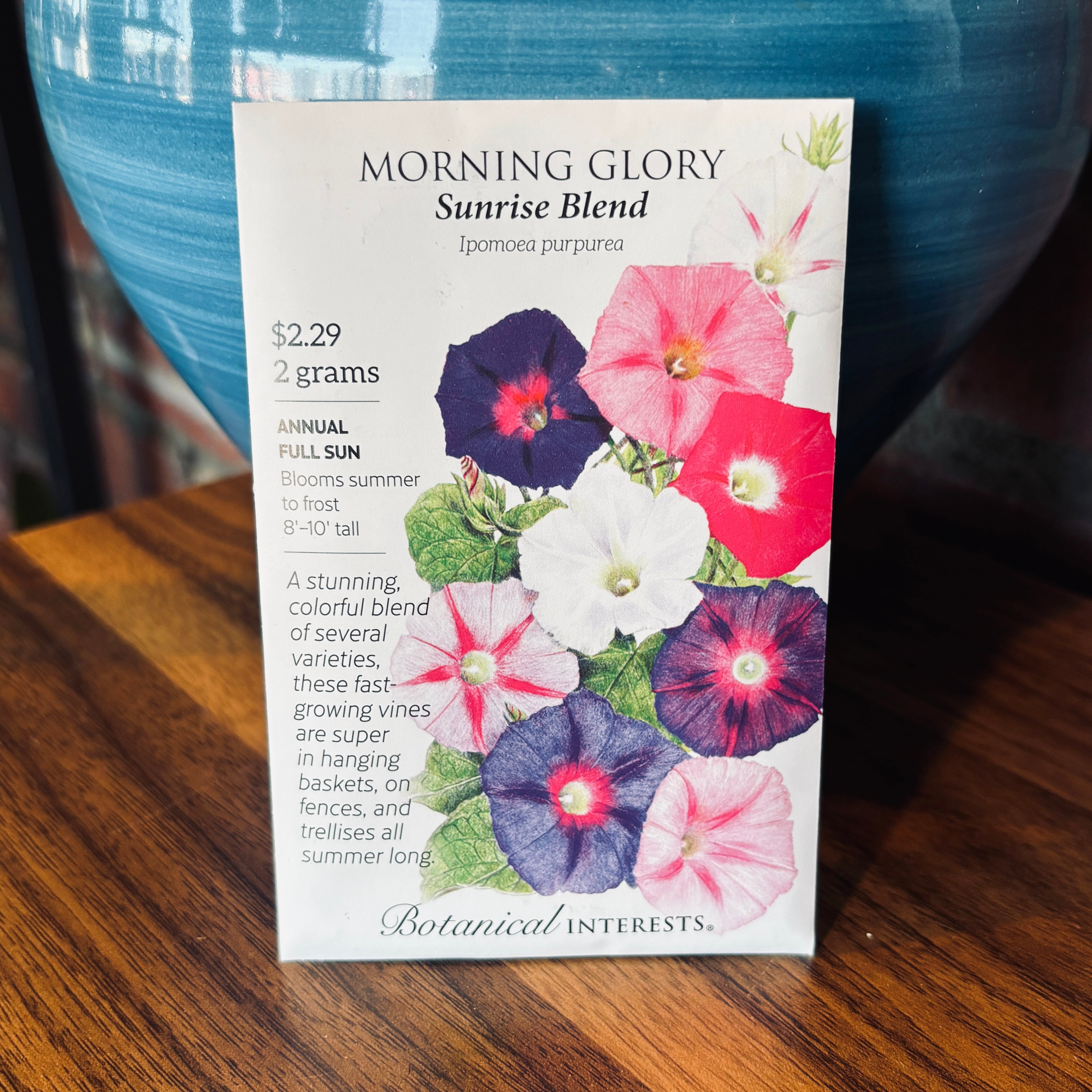 Morning Glory Sunrise Blend | Ipomoea Purpurea