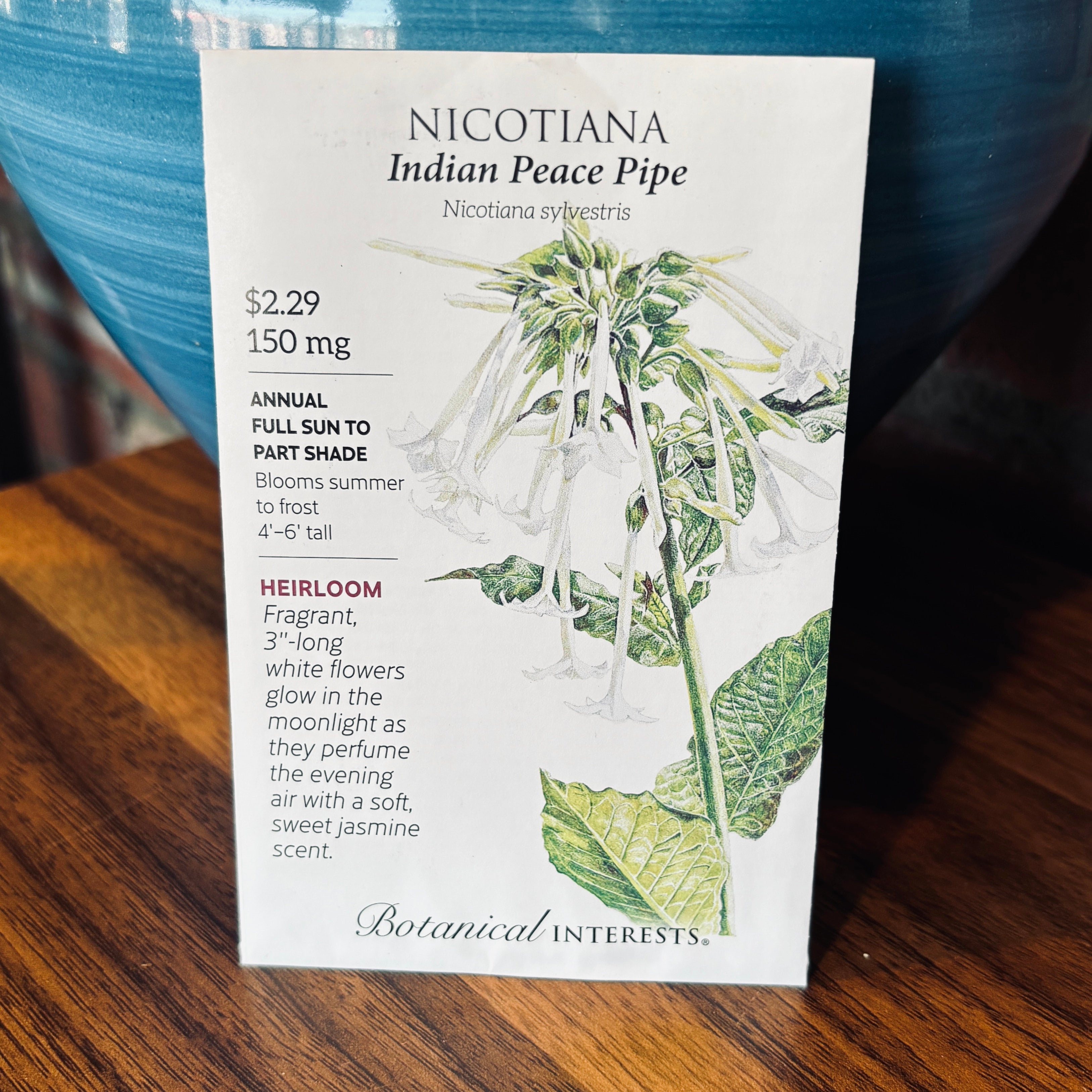 Nicotiana Indian Peace Pipe