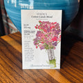 Statice Cotton Candy Blend | Limonium