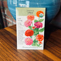 Zinnia 'Lilliput' Organic