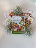 Butterfly Garden Midwest Flutter Collection