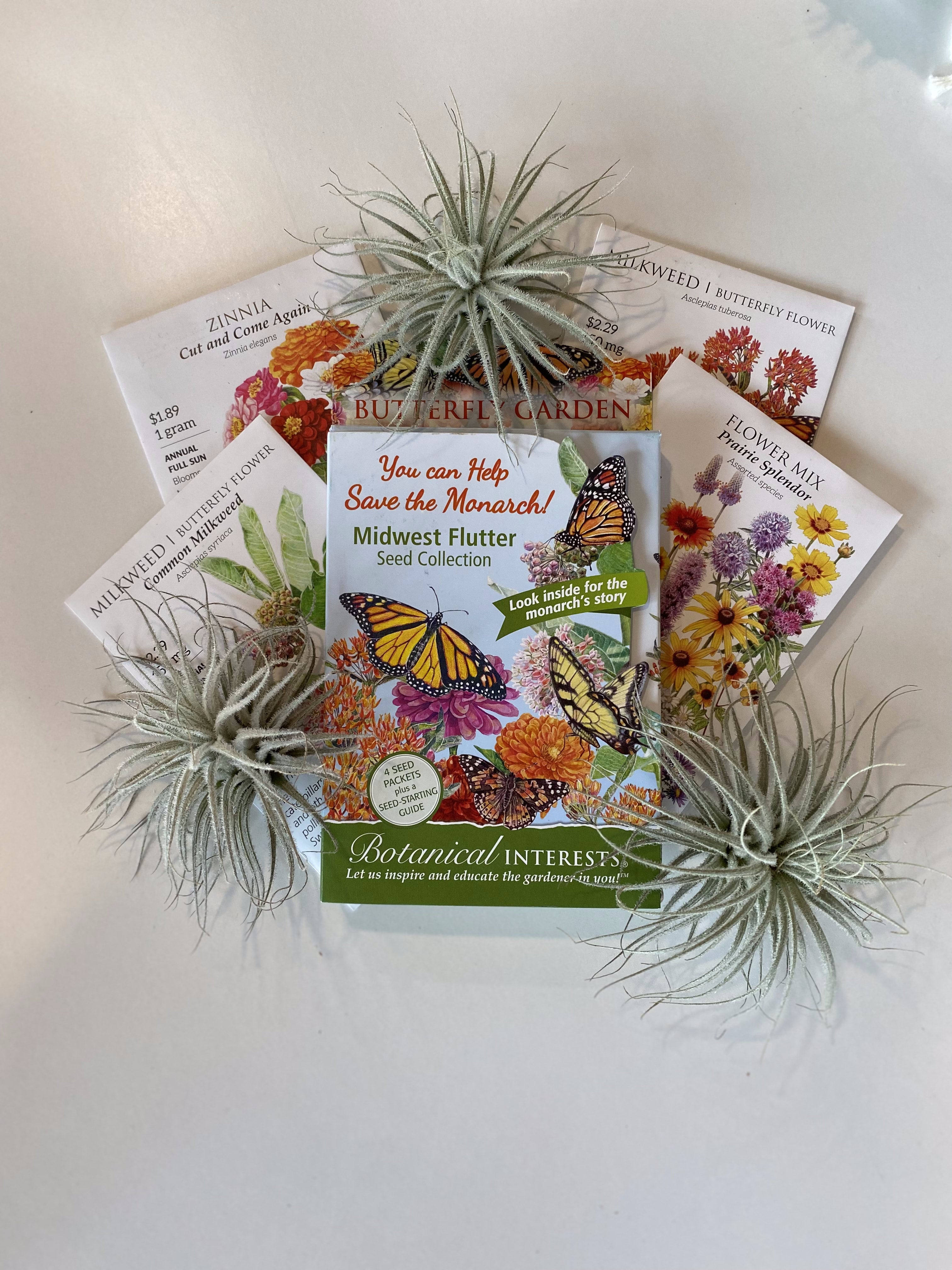 Butterfly Garden Midwest Flutter Collection